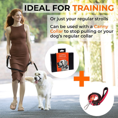 Canny CONNECT Anti-Escape Leash